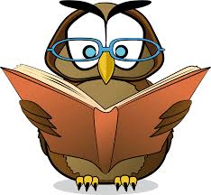 An owl reading a book